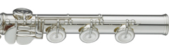 YFL-577