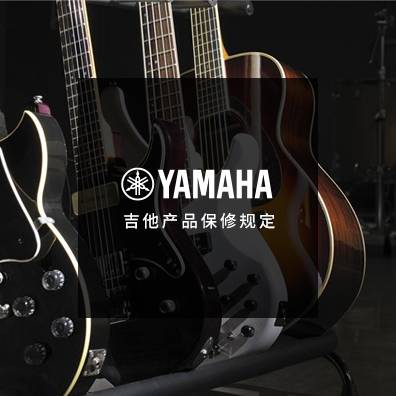 吉他、贝斯和音箱